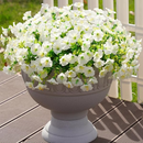 💥Material de alta qualidade atualizado 🌸Seda sintética colorida, resistente a raios UV e sem desbotamento, glória da manhã