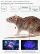 🔥Bola repelente de roedores e insetos
