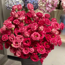 🔥🌺Sementes de flores de Eustoma de baixa manutenção🌈