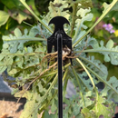 Pacote com 2 ferramentas para arrancar ervas daninhas de jardim e arrancar ervas daninhas