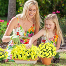 💥Material de alta qualidade atualizado 🌸Seda sintética colorida, resistente a raios UV e sem desbotamento, glória da manhã