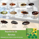 Inseticida Poderoso contra Baratas para Cozinhas e Dormitórios Domésticos