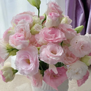 🔥🌺Sementes de flores de Eustoma de baixa manutenção🌈