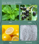 🔥Bola repelente de roedores e insetos