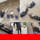 🔥 Ratoeira Poderosa de Alta Sensibilidade