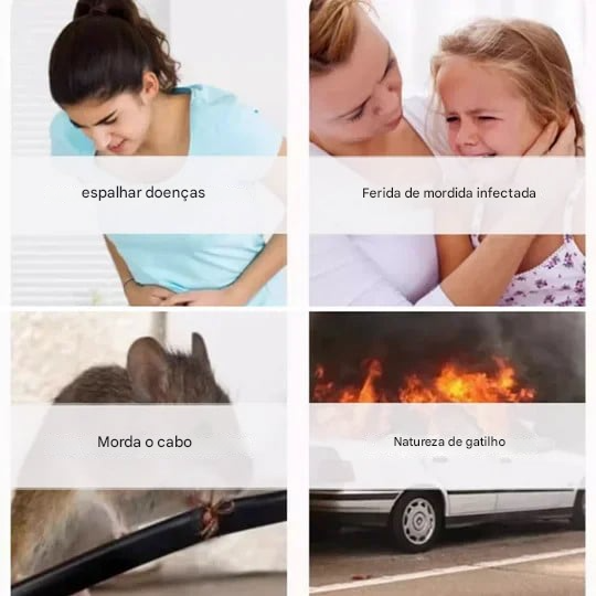 🔥Bola repelente de roedores e insetos