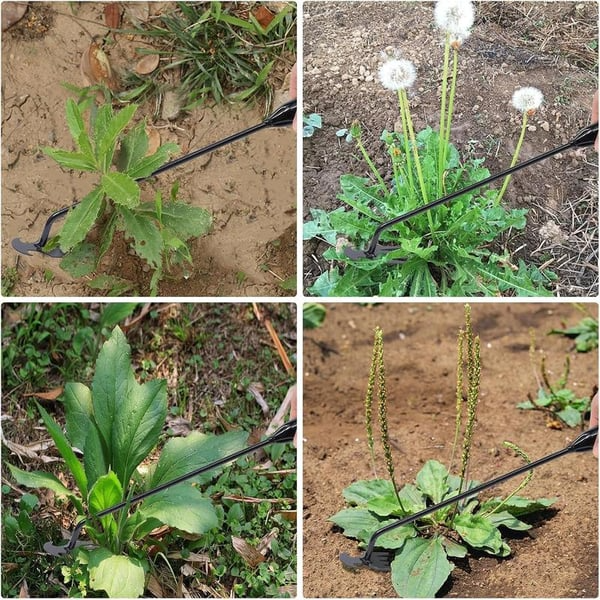 Pacote com 2 ferramentas para arrancar ervas daninhas de jardim e arrancar ervas daninhas