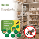 Inseticida Poderoso contra Baratas para Cozinhas e Dormitórios Domésticos