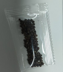 🍃 Sementes Raras de Flor Coleus 🌿