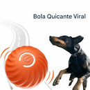 🔥Último dia 🐶Bola automática inteligente para cães que não pode ser mordida