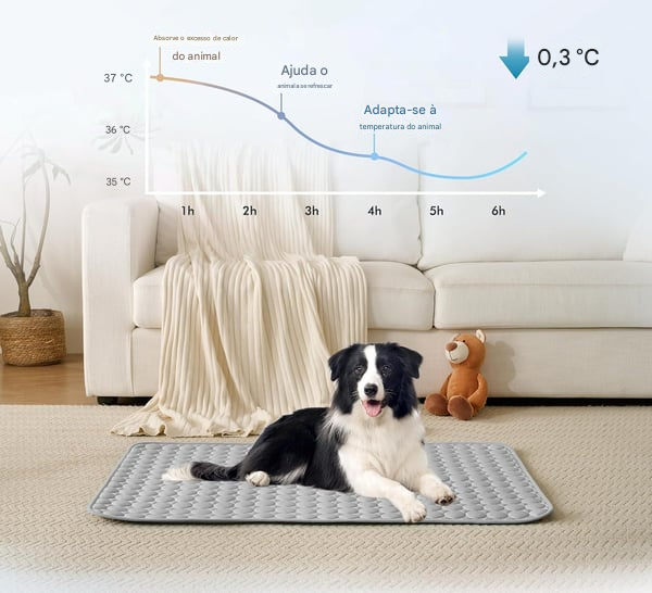 🔥ÚLTIMO DIA🐶Tapete refrescante para cães (4x mais eficaz)