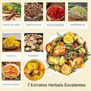 Chá de Dente-de-leão com Goji Berry – uma mistura natural de seis ingredientes herbais