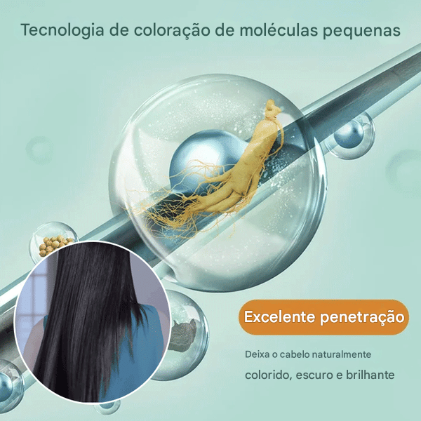 Shampoo de espuma para tingimento