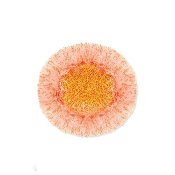 🧼 Mop de Limpeza Giratório 360° e Ajustável