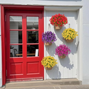 💥Material de alta qualidade atualizado 🌸Seda sintética colorida, resistente a raios UV e sem desbotamento, glória da manhã