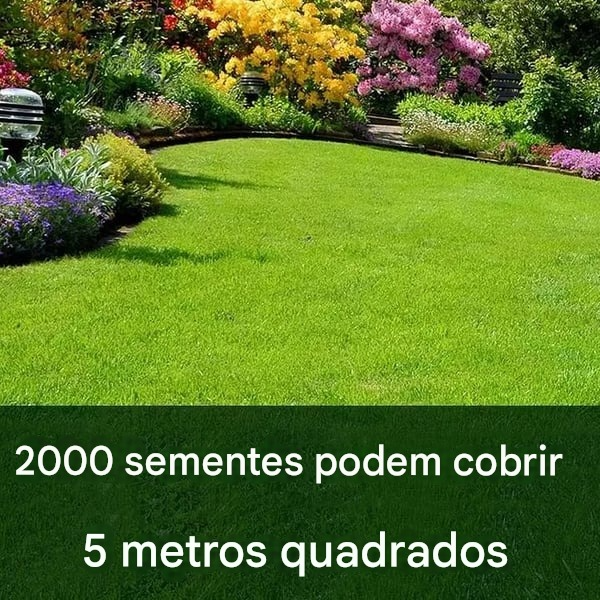 🔥7 dias de germinação🌱 Sementes de grama anã perene para quatro estações🌾Crie seu gramado perfeito aqui