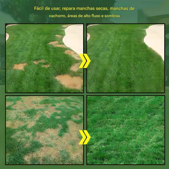 🔥7 dias de germinação🌱 Sementes de grama anã perene para quatro estações🌾Crie seu gramado perfeito aqui