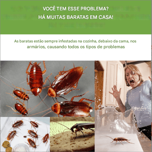 Inseticida Poderoso contra Baratas para Cozinhas e Dormitórios Domésticos