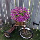 💥Material de alta qualidade atualizado 🌸Seda sintética colorida, resistente a raios UV e sem desbotamento, glória da manhã