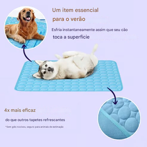 🔥ÚLTIMO DIA🐶Tapete refrescante para cães (4x mais eficaz)