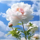 🔥Peônias da Rainha: Floresça seu Jardim🌺+ [BRINDE ESPECIAL]