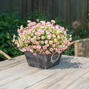 💥Material de alta qualidade atualizado 🌸Seda sintética colorida, resistente a raios UV e sem desbotamento, glória da manhã