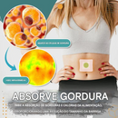 Adesivo de emagrecimento Perfect Detox (desconto por tempo limitado 🔥 último dia)