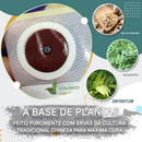 Adesivo de emagrecimento Perfect Detox (desconto por tempo limitado 🔥 último dia)