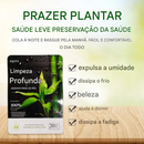 Adesivo Detox de Gengibre para Limpeza Profunda dos Pés (10 Unidades) – Compre 3 e Leve 1 Grátis ✅